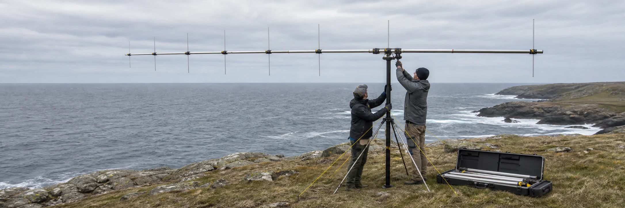 Conceptual coastal receiving-antenna visual